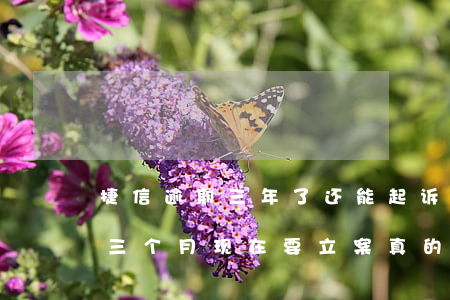 捷信逾期三年了还能起诉吗(我在捷信逾期了三个月现在要立案真的嘛)
