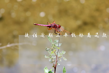 捷信逾期三年能协商还款吗