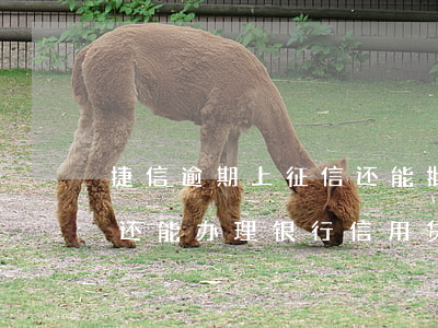 捷信逾期上征信还能批信用卡吗(捷信有逾期还能办理银行信用贷款业务吗?)