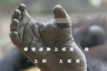 捷信逾期上征信還能辦嗎(捷信逾期一個月后還上的,會上征信嗎)