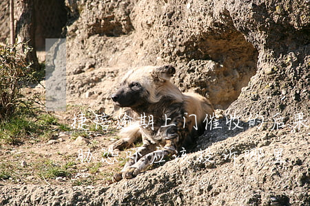 捷信逾期上门催收的后果(捷信上门催收的威胁恐吓应该投诉哪里)