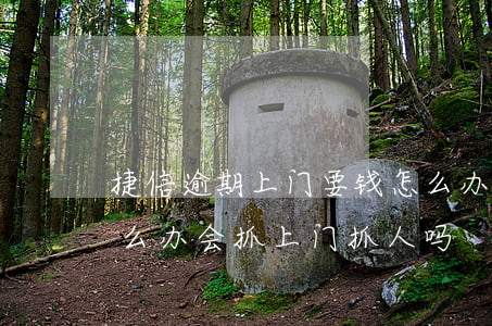 捷信逾期上门要钱怎么办(欠捷信钱还不起怎么办会抓上门抓人吗)