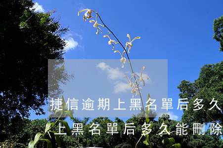 捷信逾期上黑名單后多久能刪除-捷信逾期上黑名單后多久能刪除記錄