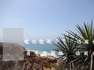 捷信逾期下了張信用卡(捷信當(dāng)月有逾期能辦信用卡嗎)