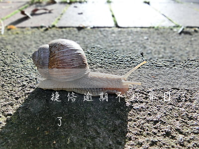 捷信逾期不打算還了三年（捷信逾期不打算還了）