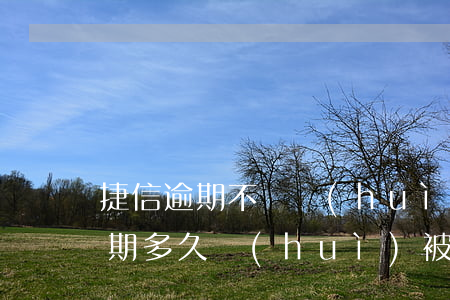 捷信逾期不還會(huì)被上訴嗎(捷信逾期多久會(huì)被起訴會(huì)有什么后果)