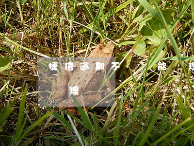捷信逾期不還還能辦理嗎(捷信逾期不還還能辦理嗎)