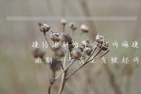 捷信逾期两千会起诉嘛 捷信欠款20000逾期一年有没有被起诉的