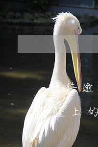 捷信逾期两年会不会坐牢(捷信逾期两个月后还上的,会有什么影响吗)