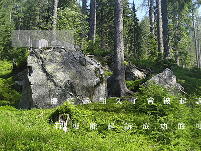 捷信逾期久了會被起訴嗎(捷信逾期2年,有沒有可能起訴成功的可能)