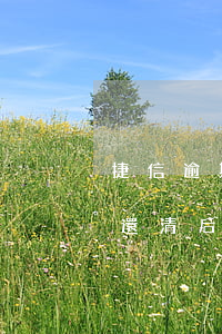 捷信逾期之后多久能恢復(fù)(捷信逾期還清后多長(zhǎng)時(shí)間能再次申請(qǐng)貸款)