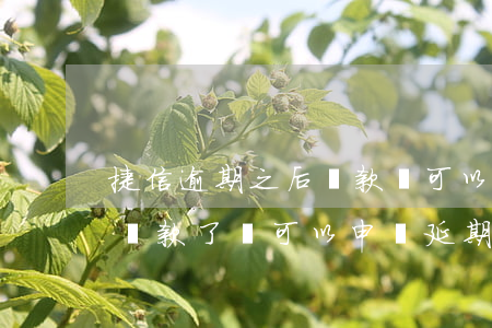 捷信逾期之后還款還可以慢慢還-捷信逾期還款了還可以申請延期還款嗎