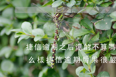 捷信逾期之后還的不算嗎(捷信逾期不還會怎么樣?捷信逾期后果很嚴重嗎?)