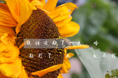 捷信逾期了一久為啥電話也不打了-捷信逾期打了幾天電話就不打了,為什么