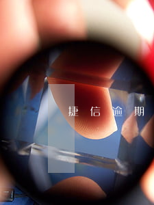 捷信逾期了会影响支付宝(捷信影响支付宝么)