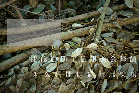 捷信逾期了信用卡会降额吗(捷信逾期不还会怎么样?捷信逾期后果很严重吗)