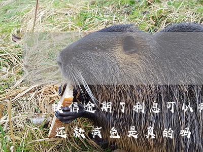 捷信逾期了利息可以减免吗(捷信逾期一次性还款减免是真的吗?)