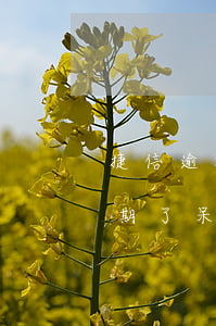 捷信逾期了呆账还款了就可以了吗-捷信逾期了呆账还款了就可以了吗怎么办