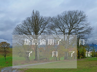 捷信逾期了幾個月還了還能辦嗎-捷信逾期了幾個月還了還能辦嗎