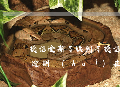 捷信逾期了收到了捷信的律師函怎么辦（捷信逾期會(huì)在郵箱發(fā)律師函）