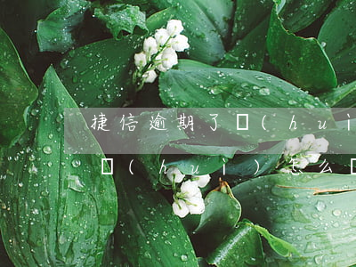 捷信逾期了會(huì)咋樣(捷信逾期不還會(huì)怎么樣?捷信逾期后果很嚴(yán)重嗎?2020年)