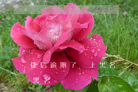 捷信逾期了會上黑名單嗎(捷信有沒有被列入黑名單)