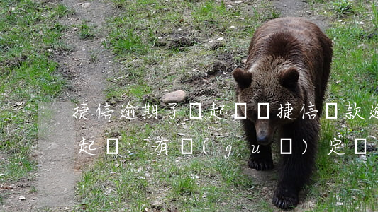 捷信逾期了會起訴嗎 捷信貸款逾期多久會被起訴:有規(guī)定嗎?