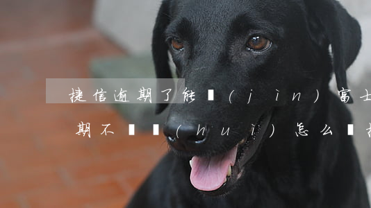 捷信逾期了能進(jìn)富士康嗎(捷信逾期不還會(huì)怎么樣?捷信逾期后果很嚴(yán)重嗎?)