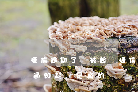 捷信逾期了說被起訴 捷信逾期八個月被電話通知起訴是真的嗎?