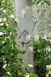 捷信逾期了說要上門協(xié)商是真是假-捷信逾期很久了,打電話來說要上門催收,是真的嗎?