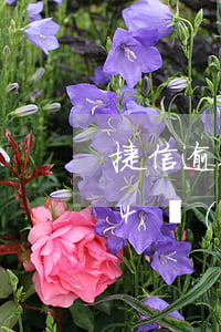 捷信逾期了逾期費(fèi)多少錢(欠捷信4萬(wàn)多,逾期一年,這些后果你承受得起嗎?)