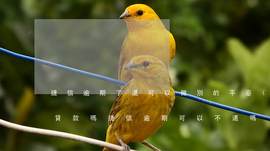 捷信逾期了還可以做別的平臺(tái)借貸款嗎（捷信逾期可以不還嗎）