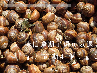 捷信逾期了還可以退款嗎(捷信已經(jīng)逾期4個(gè)月了以后不還會怎么樣)