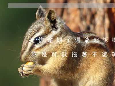 捷信逾期了還能起訴嗎(捷信逾期上征信了 是不是可以拖著不還等捷信起訴)