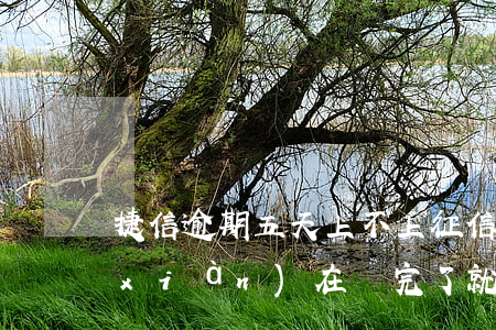捷信逾期五天上不上征信(捷信逾期半年現(xiàn)在還完了就上征信了嗎)