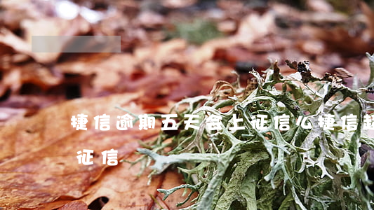 捷信逾期五天会上征信么(捷信超过几天会上征信)