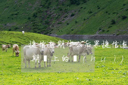 捷信逾期什么后果(捷信逾期一個(gè)星期還上的,會(huì)有什么影響嗎)