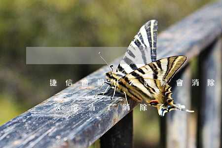 捷信逾期什么時候會消除(捷信有逾期記錄,欠款還清了,消除了嗎)