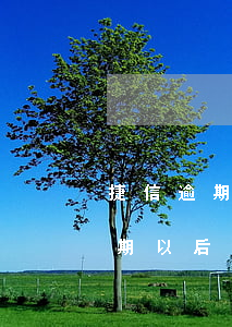 捷信逾期以后可以申请只还本金吗-捷信逾期以后可以申请只还本金吗