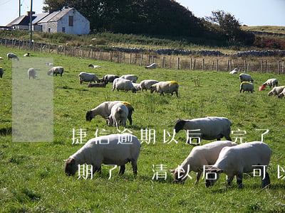捷信逾期以后還完了還可以借錢么-捷信逾期了還清以后還可以繼續(xù)貸款嗎?