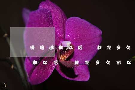 捷信逾期以后還款完多久可以再借-捷信逾期以后還款完多久可以再借錢