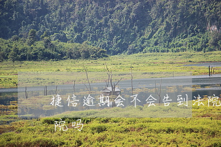 捷信逾期会不会告到法院 捷信不还会告到法院吗