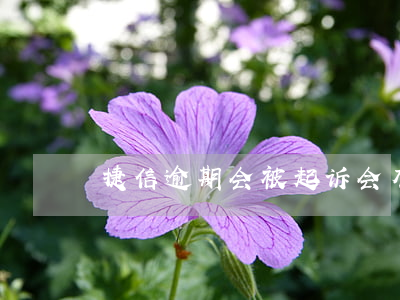 捷信逾期会被起诉会有什么后果