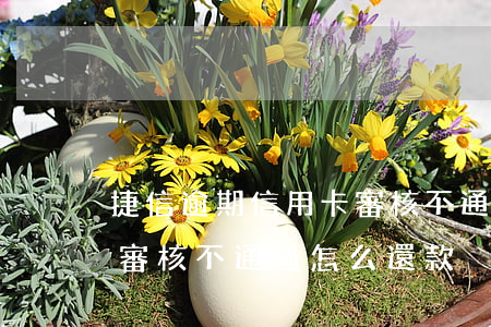捷信逾期信用卡審核不通過(捷信逾期信用卡審核不通過怎么還款)