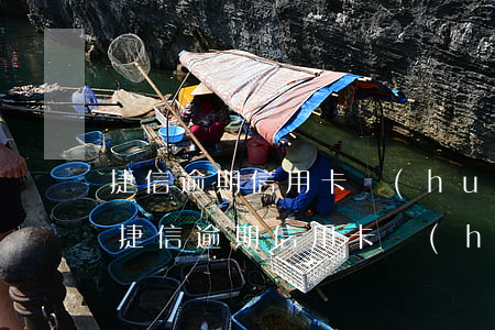 捷信逾期信用卡會(huì)被取消額度嗎(捷信逾期信用卡會(huì)被取消額度嗎怎么辦)
