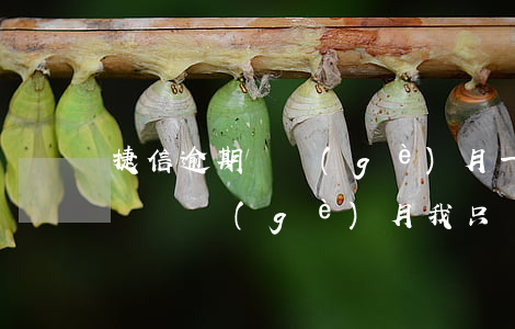 捷信逾期兩個(gè)月一次性(捷信逾期要還兩個(gè)月我只還一個(gè)月的可以嗎)