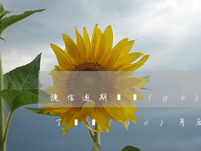 捷信逾期兩個(gè)月還能借嗎(捷信逾期了兩個(gè)月,后面還了還可以再借嗎?)