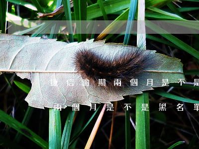 捷信逾期兩個月是不是黑名單了-捷信逾期兩個月是不是黑名單了