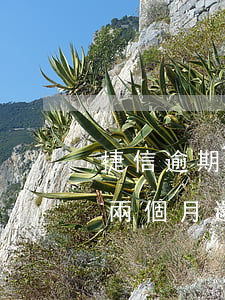 捷信逾期兩個月還完了還能辦嗎-捷信逾期兩個月還完了還能辦嗎有影響嗎