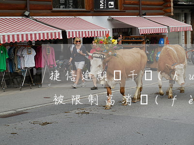 捷信逾期兩千會(huì)不會(huì)被限制高消費(fèi)-捷信逾期兩千會(huì)不會(huì)被限制高消費(fèi)了